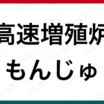 早口言葉 隣の客はよく柿食う客だ 早口言葉ナビ