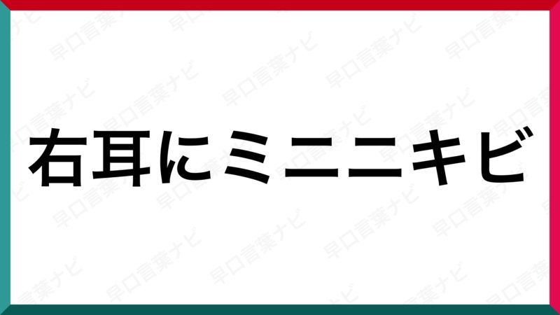 早口言葉 右耳にミニニキビ 早口言葉ナビ